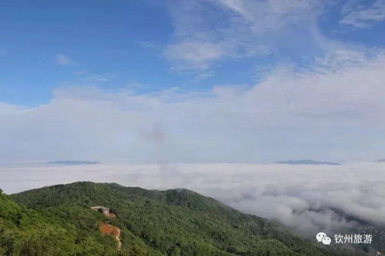 推荐|听说钦州有一处森林养生基地可以让你躲过炎炎夏日