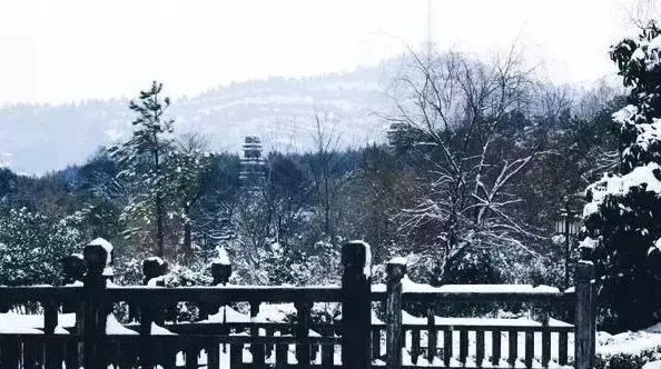 冬日必打卡7家网红雪景通刷仅需300元！